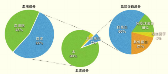 深圳國資委上市公司，暴跌50%是何原因？