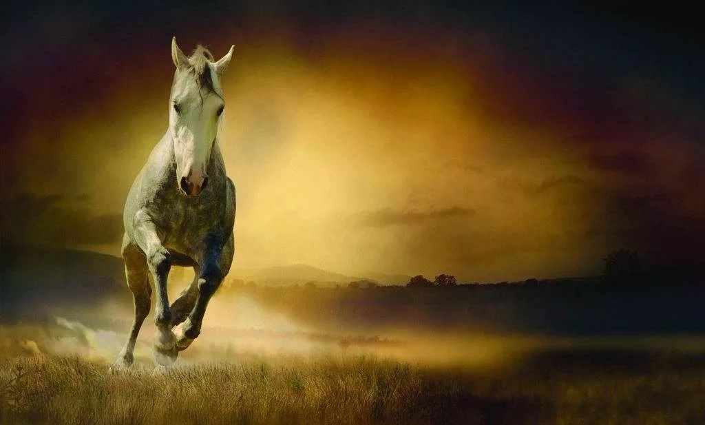 財聞點金｜國務院發文支持職業教育 改革行業迎廣闊空間