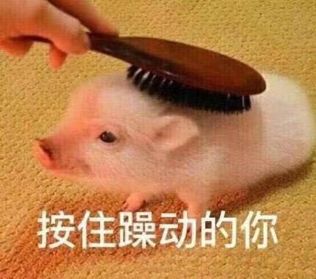 方星海說外資超買是正常現象 MSCI採取措施主動配合A股限購令