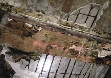 來看吧﹗為香港的上海街唐樓建築群引進新生命