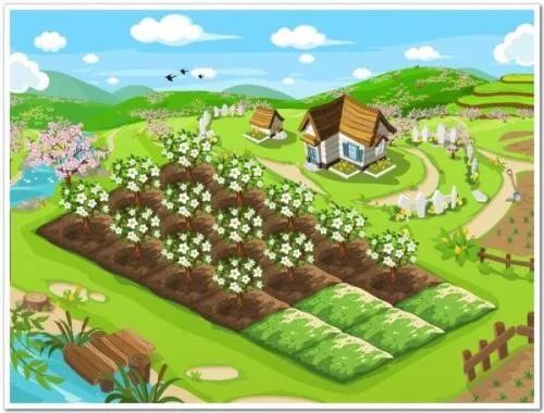 上人人，找韭菜