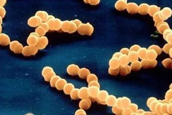 新冠肺炎和鬼针草汤