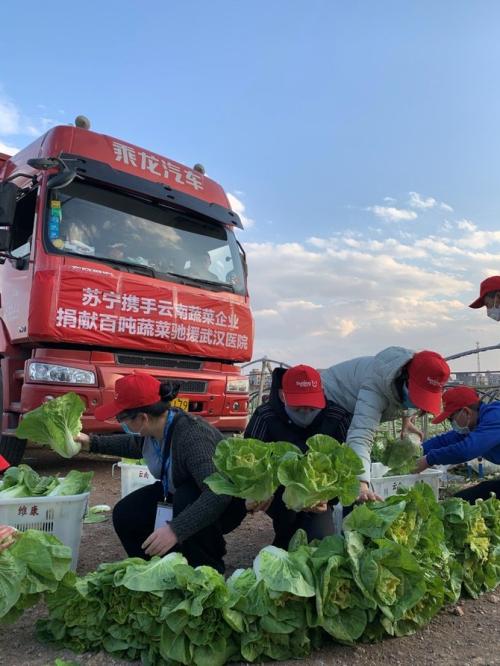 响应国家号召全力抗&ldquo;疫&rdquo; 苏宁保障急需物资到位