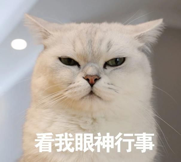 創業板飙漲20%,科創板30%!心癢想買只科技成長類基金?