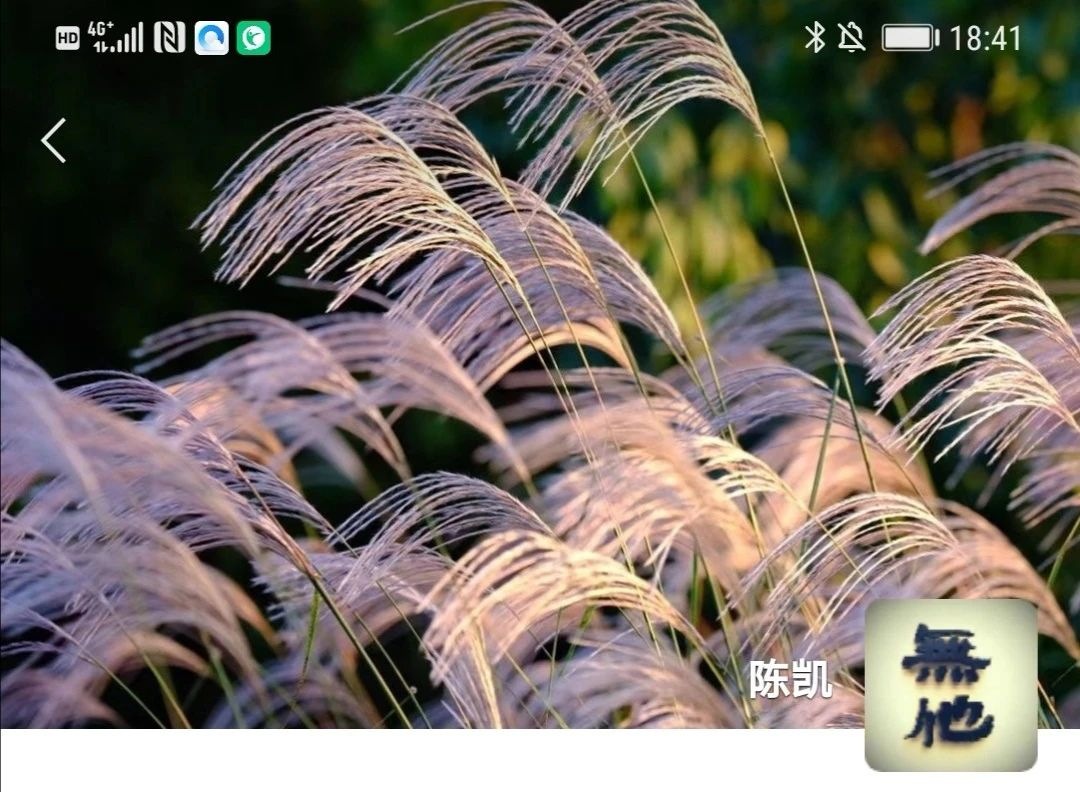 定了！陈凯出任新力控股联席董