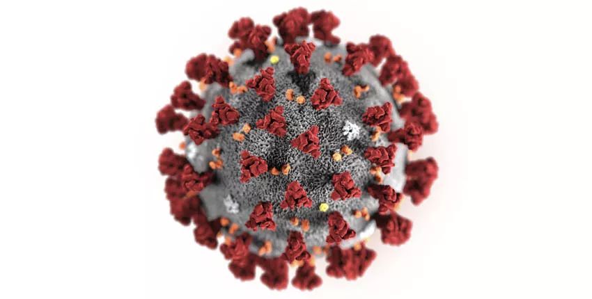 關于武漢病毒研究所對瑞德西韋專利注冊疑問的幾點分析