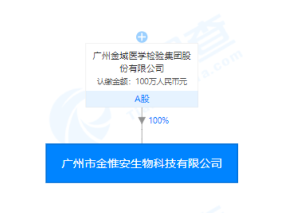 廣州市金惟安生物科技有限公司的股權關系圖(來源：天眼查) 