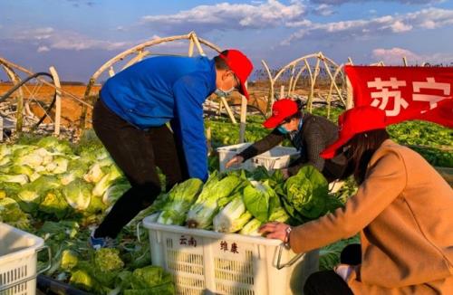 响应国家号召全力抗&ldquo;疫&rdquo; 苏宁保障急需物资到位