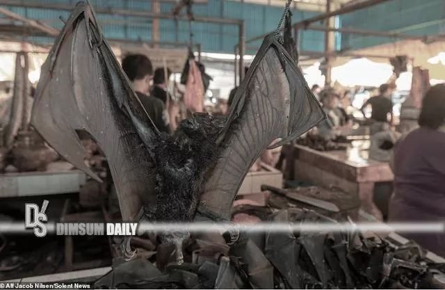 新冠肺炎和鬼针草汤