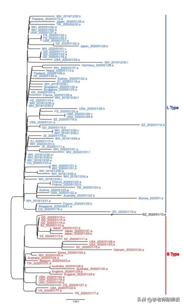 新冠病毒已突變：中國防疫效果好，針對防疫很重要！