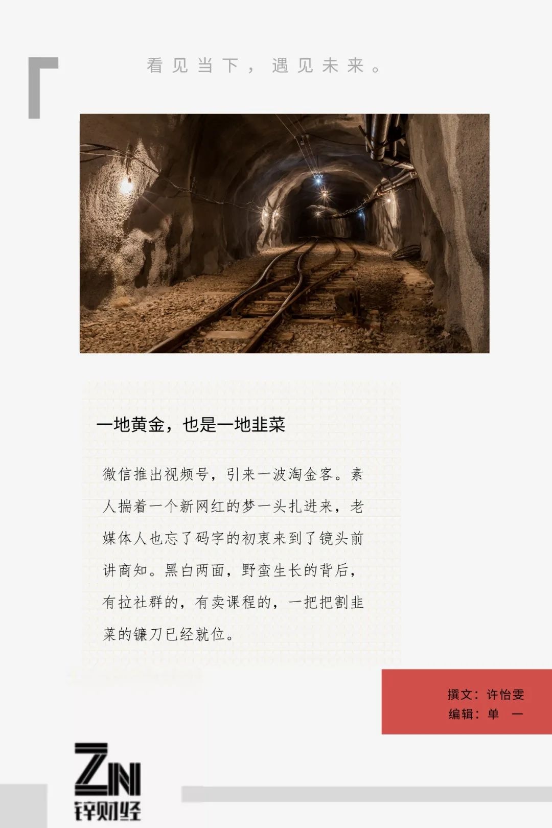 黑白視頻號，黃金和韭菜齊飛