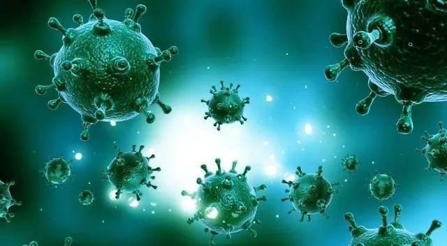 美國政府，請回答：為什麽兩年前要重啓禽流感病毒基因改造項目？