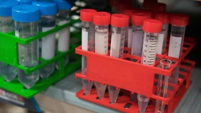 美國政府，請回答：為什麽兩年前要重啓禽流感病毒基因改造項目？