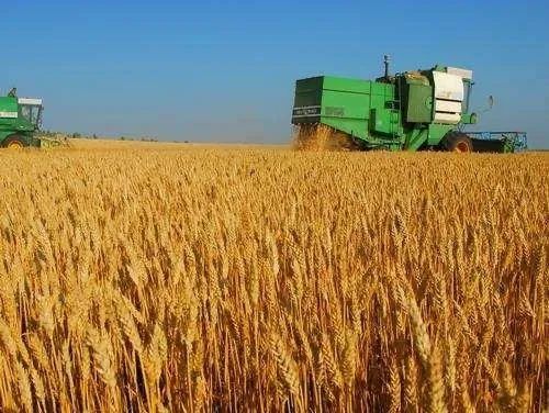 宗慶後有關糧食進口、農産品漲價和緩解就業壓力的建議對嗎？之二