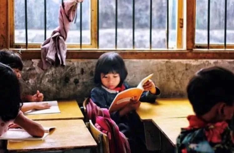 騰訊公益破圈：鵝傳鵝現象越來越嚴重了