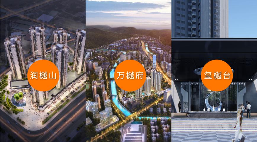 27-坪山區域3大項目效果圖