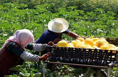 3-6線城市用戶占比7成！京喜“一年級”成績單盡顯“唯快不破”的功力