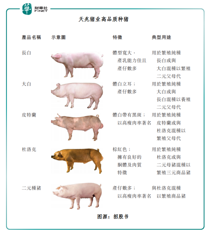 天兆猪业：现代种猪巨头赴港IPO，提升下游产能保持高质量发展