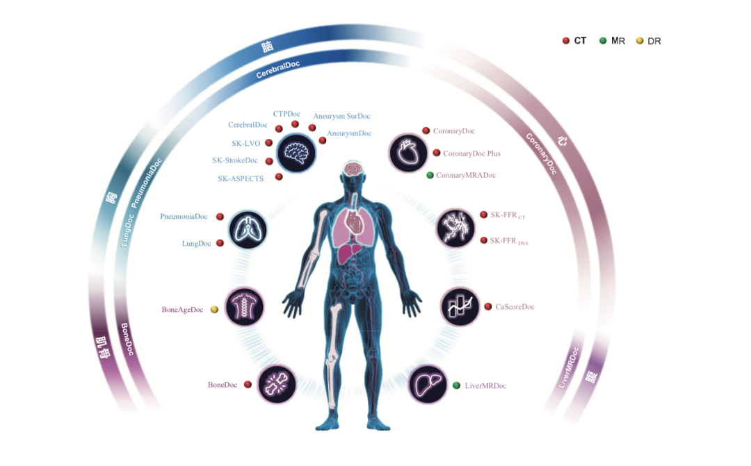 數坤科技赴港上市：數字醫生産品應用於超1200家醫院，上半年營收同比增長681%