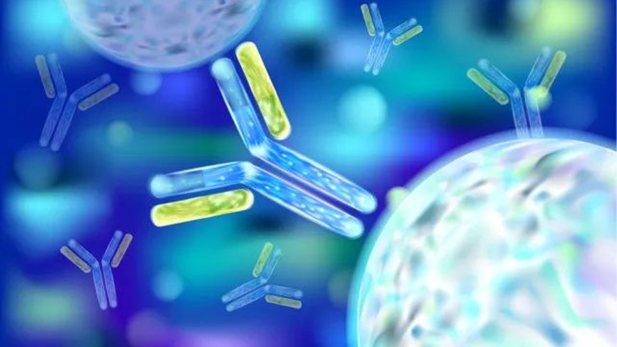 智慧芽「生物導彈」抗體偶聯藥洞察報告：全球ADC藥物3-5年或將迎來新的高峰