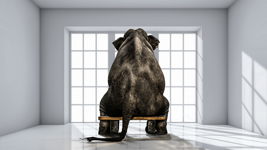 離開Baillie Gifford的基金經理們：官僚主義正成為房間裡看不見的大象