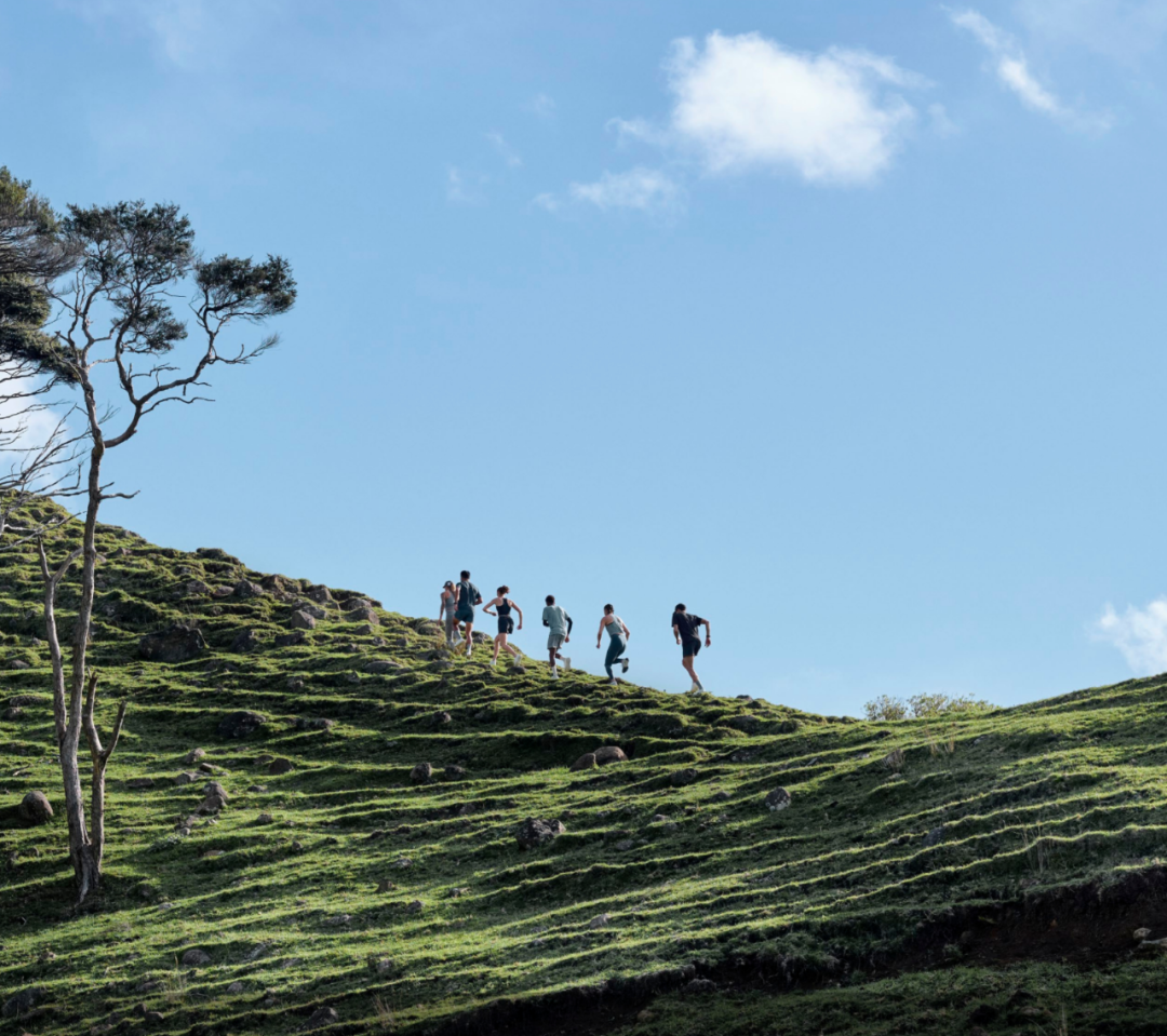Allbirds擬11月3日登陸納斯達克:前三季度營收約1.8億美元,估值或達22億美元