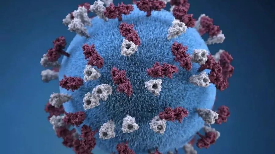 樂普生物招股書失效：佈局PD-1、ADC、溶瘤病毒等熱門腫瘤管綫