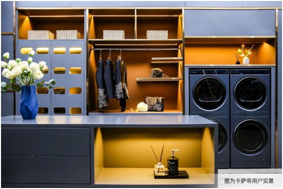 高均價、高份額！卡薩帝洗衣機雙11高端份額居Top1