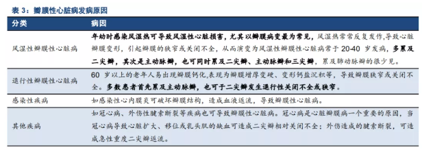 八大力｜被高估了嗎？估值400倍、上市漲逾8倍，深耕生物瓣膜領域的佰仁醫療