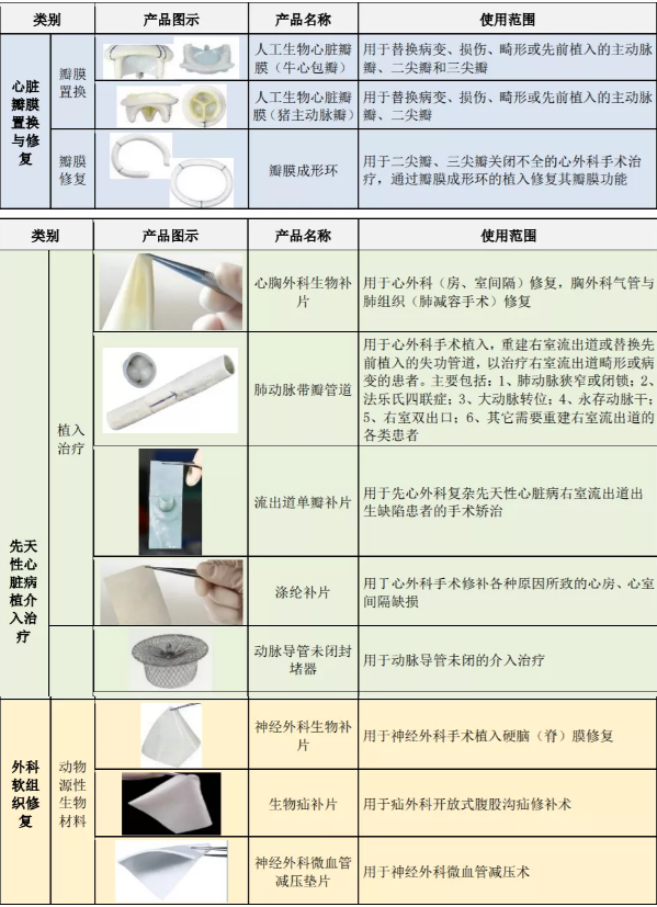 八大力｜被高估了嗎？估值400倍、上市漲逾8倍，深耕生物瓣膜領域的佰仁醫療