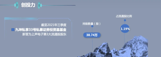 牛股 or 妖股？6天股價翻倍、遊資潛伏獲利，Q3業績卻大幅下滑的上聲電子