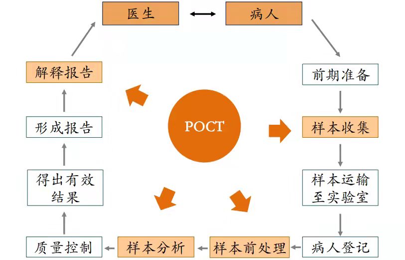 新冠檢測概念卷土重來！體外診斷細分賽道或將爆發
