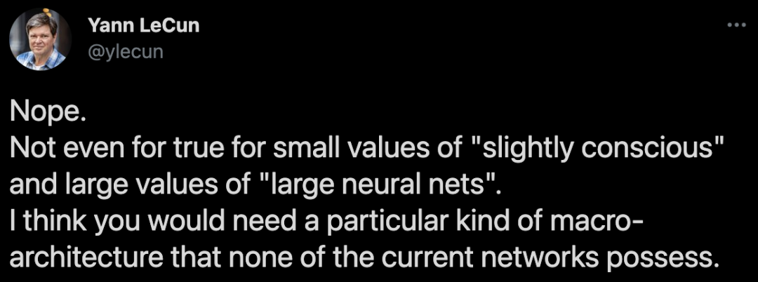 大型AI已有自主意識了?LeCun開噴Open AI首席科學家