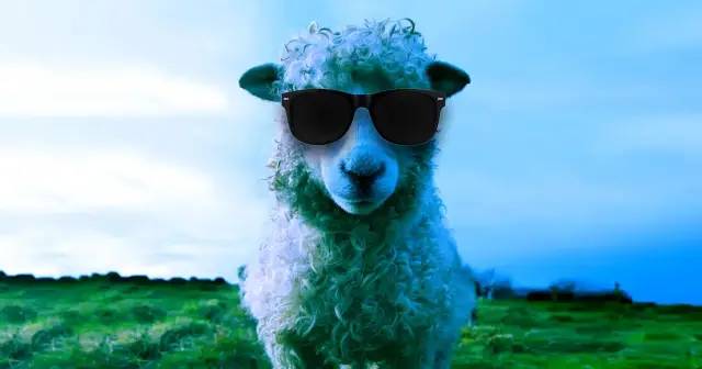 給綿羊裝上仿生眼，仿身人，更近一步