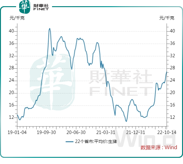 三季报两极分化，平稳运行成猪企们的发展主题