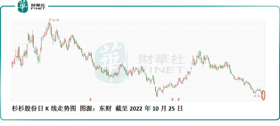 股价一度创新低！杉杉股份三季度盈利“开倒车”