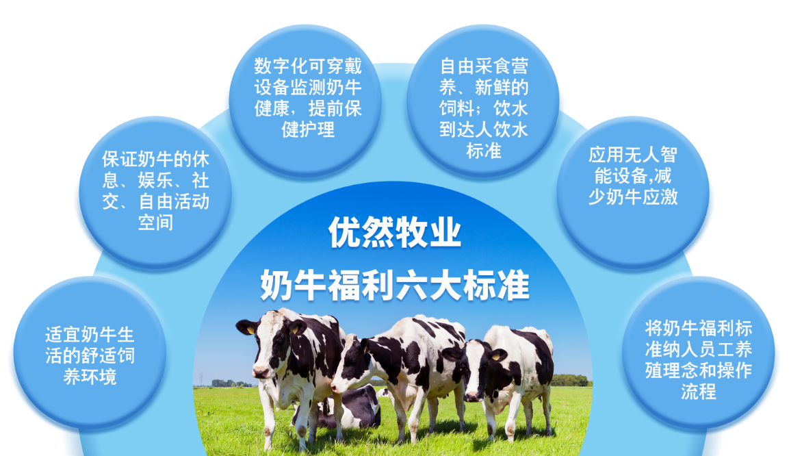 亮相动物福利科学大会 优然牧业数字化赋能奶牛福利