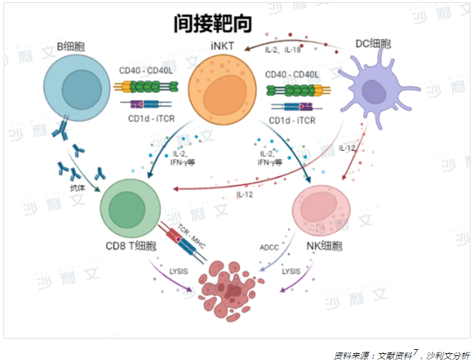 医疗观察丨恶性肿瘤的细胞免疫治疗现状与iNKT细胞疗法新进展