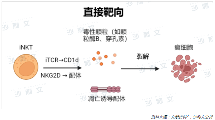 医疗观察丨恶性肿瘤的细胞免疫治疗现状与iNKT细胞疗法新进展