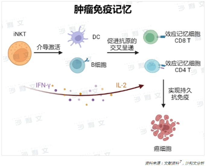 医疗观察丨恶性肿瘤的细胞免疫治疗现状与iNKT细胞疗法新进展