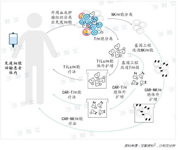 医疗观察丨恶性肿瘤的细胞免疫治疗现状与iNKT细胞疗法新进展