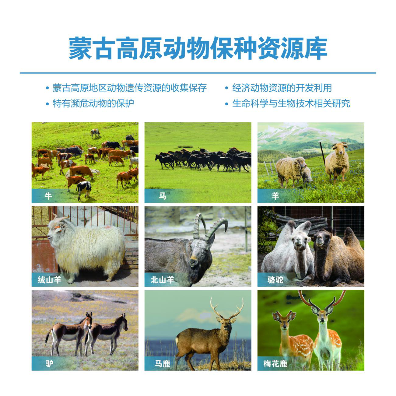 优然牧业标普CSA评估得分超全球85%参评同业 排中国乳业上游企业第一