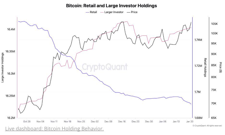 CryptoQuant：自美国大选以来，大型投资者比特币持有量从1620万枚增至1640万枚BTC