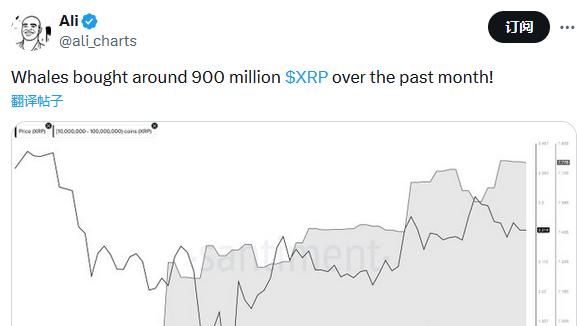 數據：鯨魚過去1個月已買入超9億枚XRP