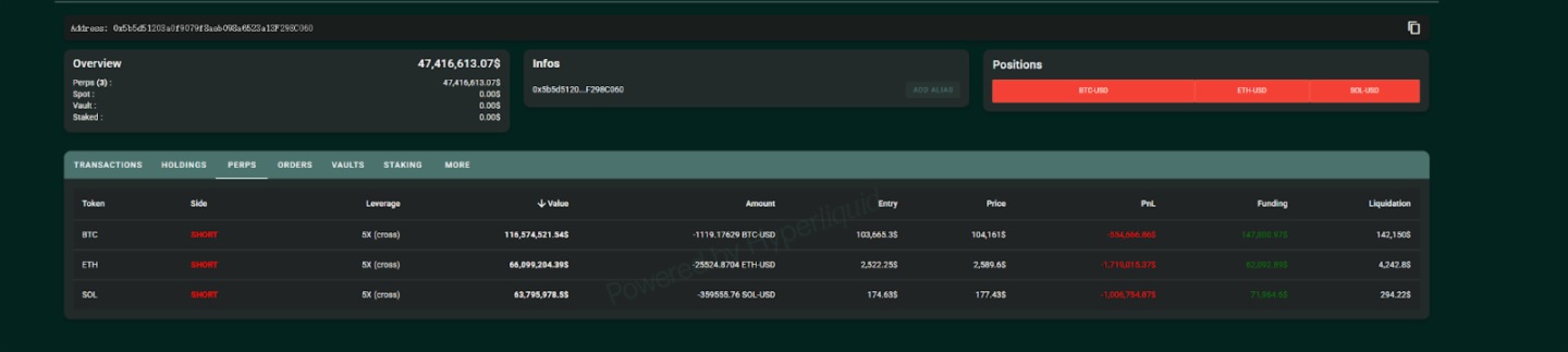 拆解Hyperliquid頂級巨鯨的操盤密碼與博弈策略：槓桿與時機把握的藝術
