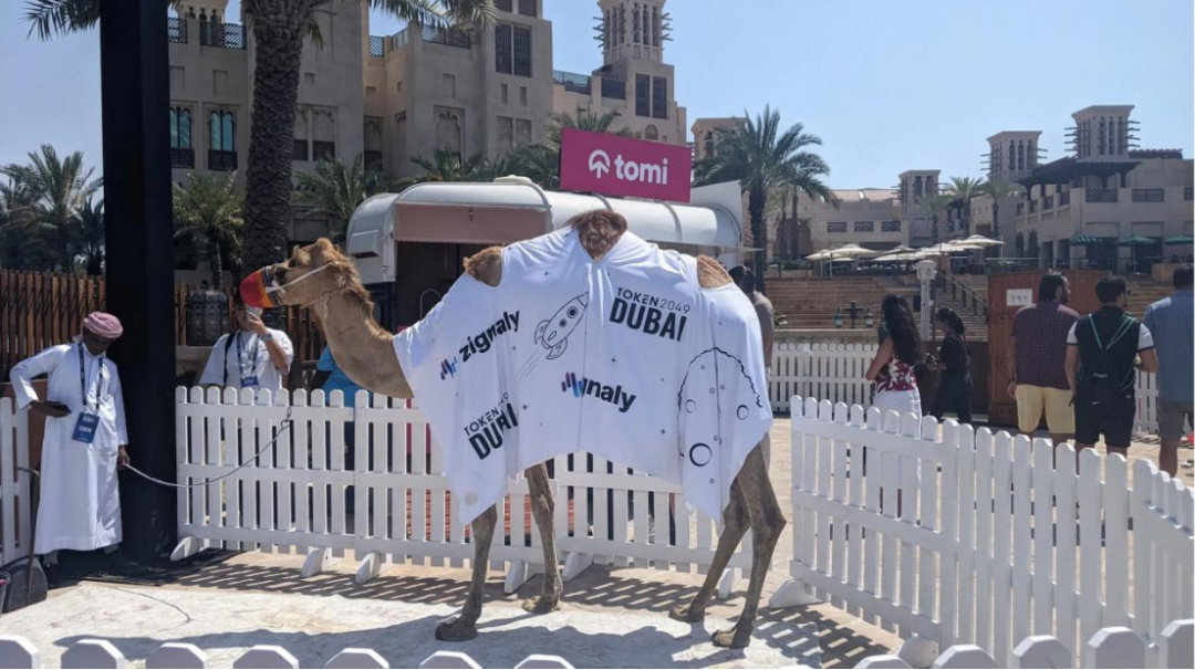 新加坡Web3清場之後,隱形玩家浮出水面