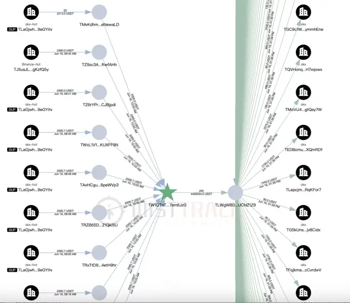 鑫慷嘉DGCX騙局崩盤始末:130億資金去哪了?