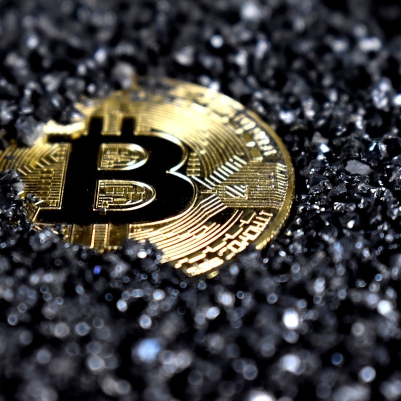 2025 年香港 8 月活動精選