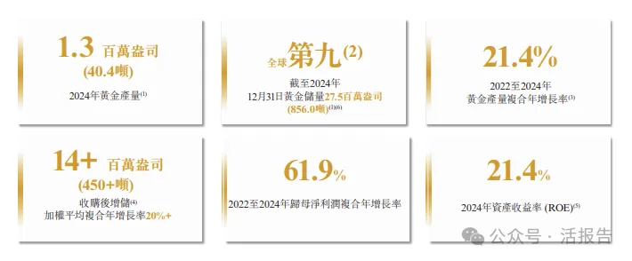 年内第二大IPO!紫金矿业分拆的「紫金黄金国际」通过聆讯,2025上半年净利已超去年全年