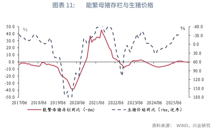 宏觀市場 | 豬週期：這次不一樣